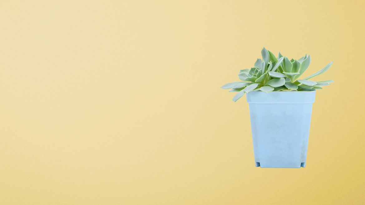 O Brasil é o quarto colocado no ranking mundial de usuários de internet